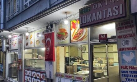 Ankara Palmiyesi #11: Alışveriş ve Ankara işi alışveriş